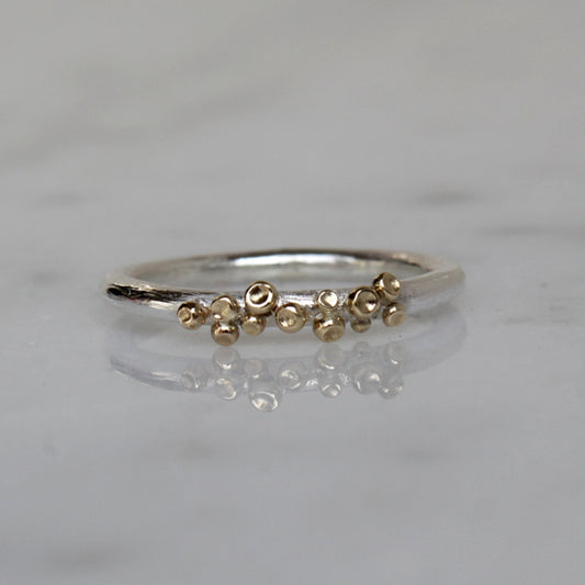 Zilveren ring met gouden ornamenten