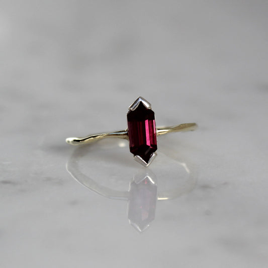 Ribbon ring Hexagon